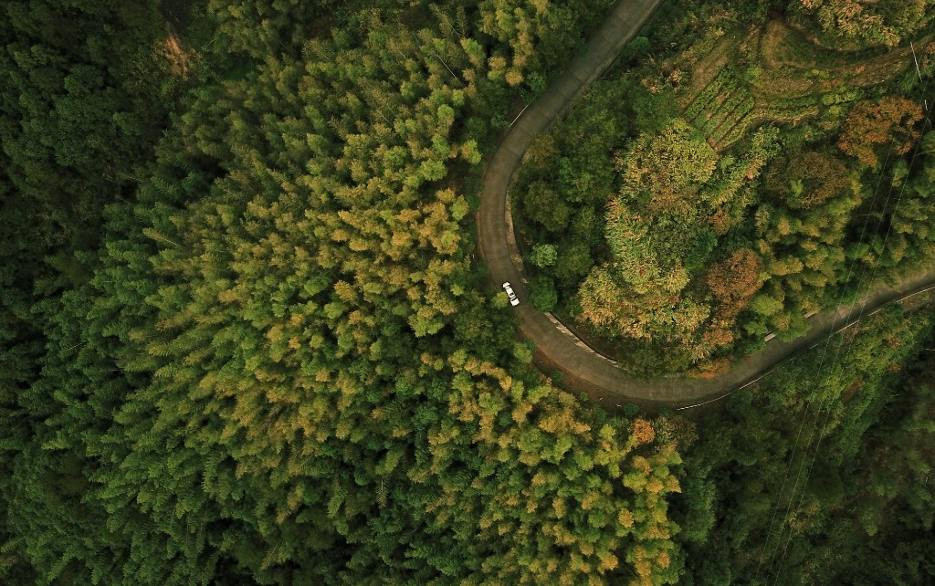 Aerial drone view of forest crossed by winding road - professional aerial photography